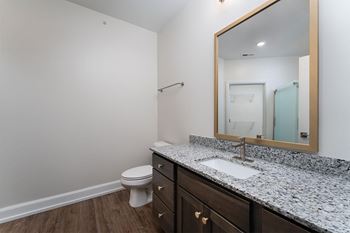 a bathroom with a sink and a toilet and a mirror